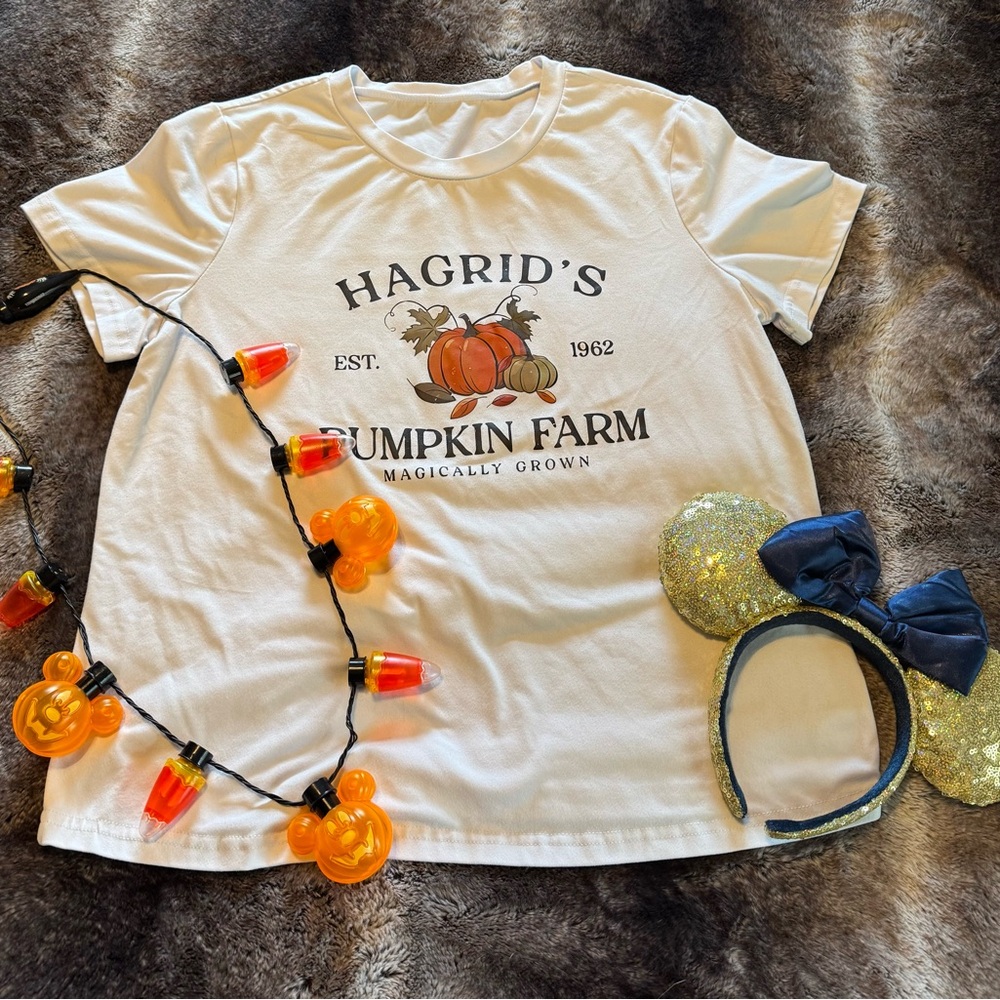 Fall Disney & Harry potter women’s medium lot